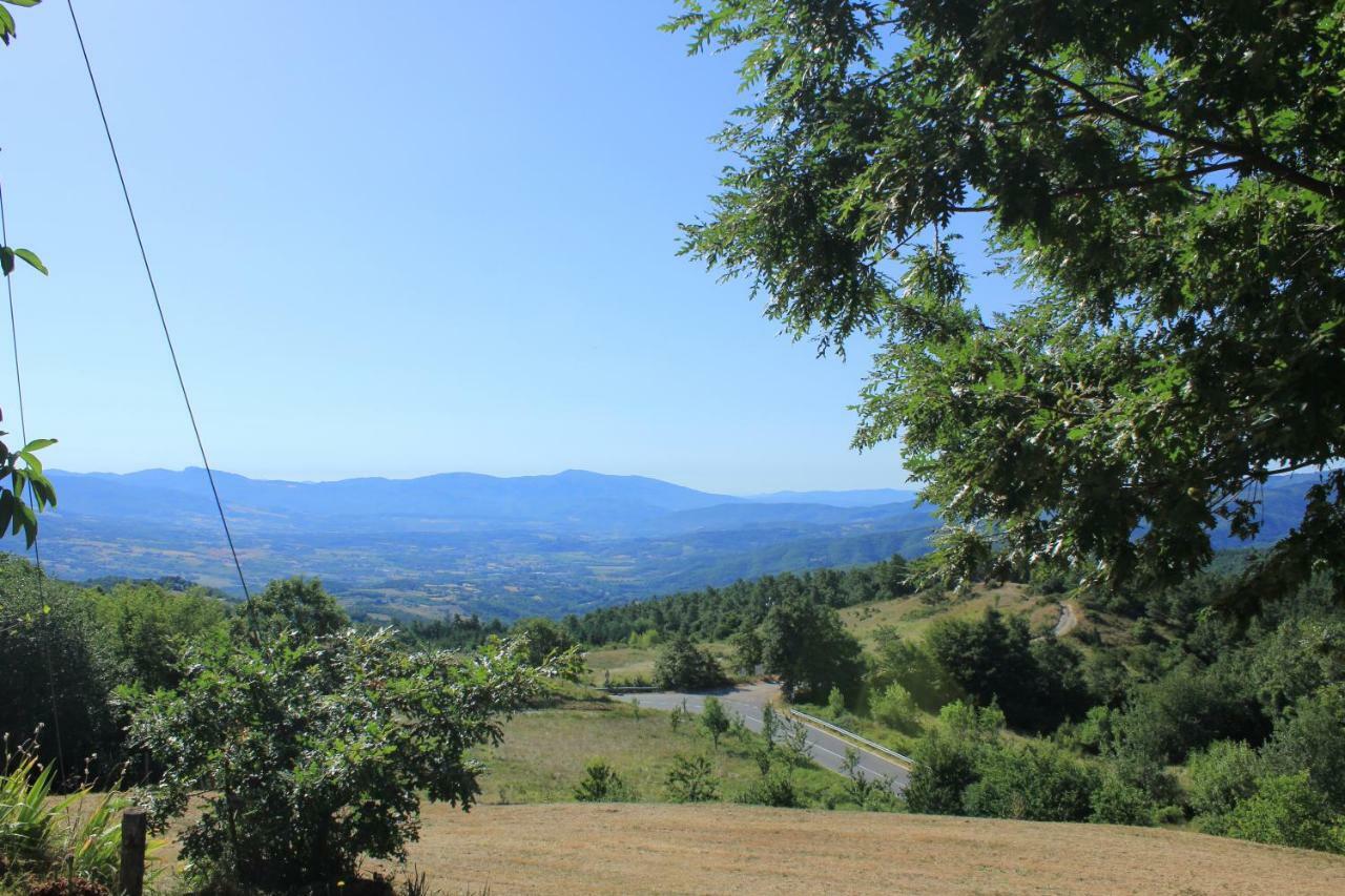 B&B Vista Casentino Pratovecchio Exterior foto